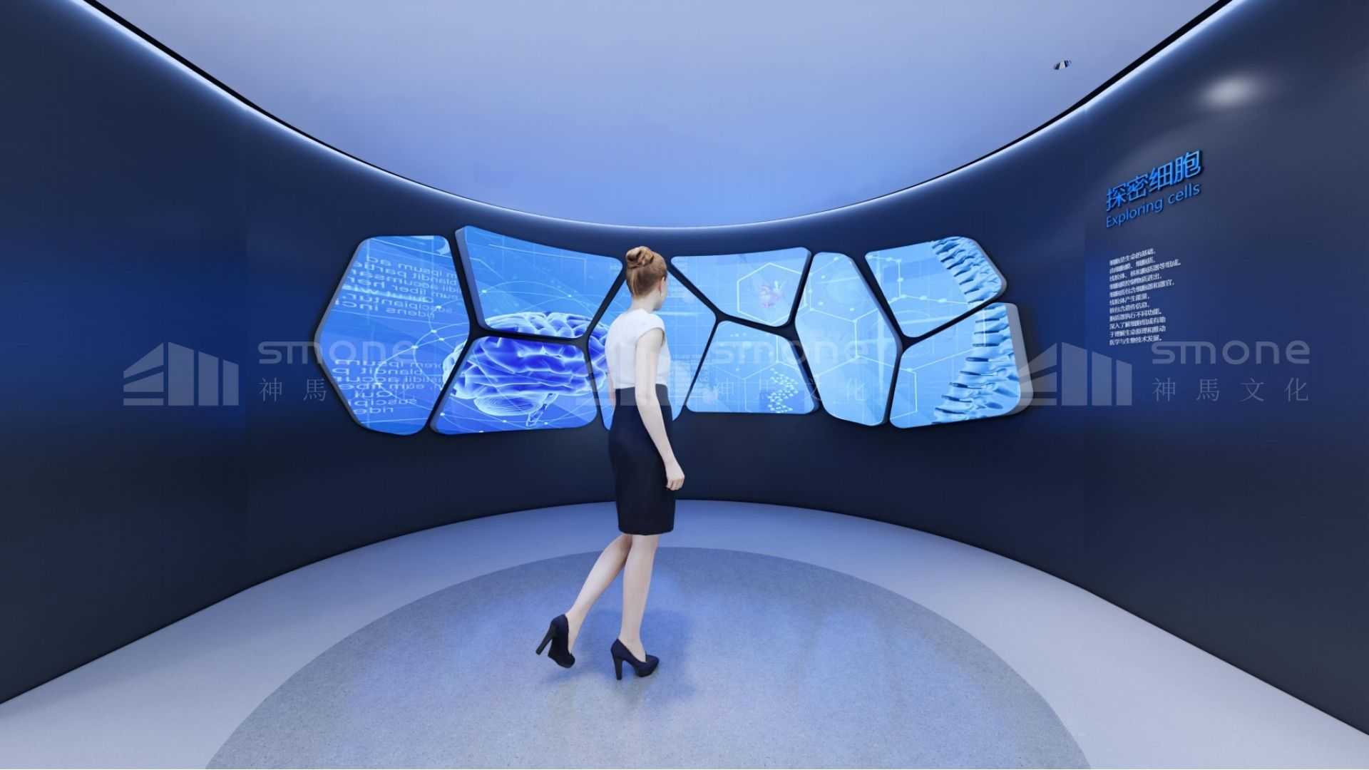 穿越時(shí)空，探秘干細(xì)胞“前世今生”